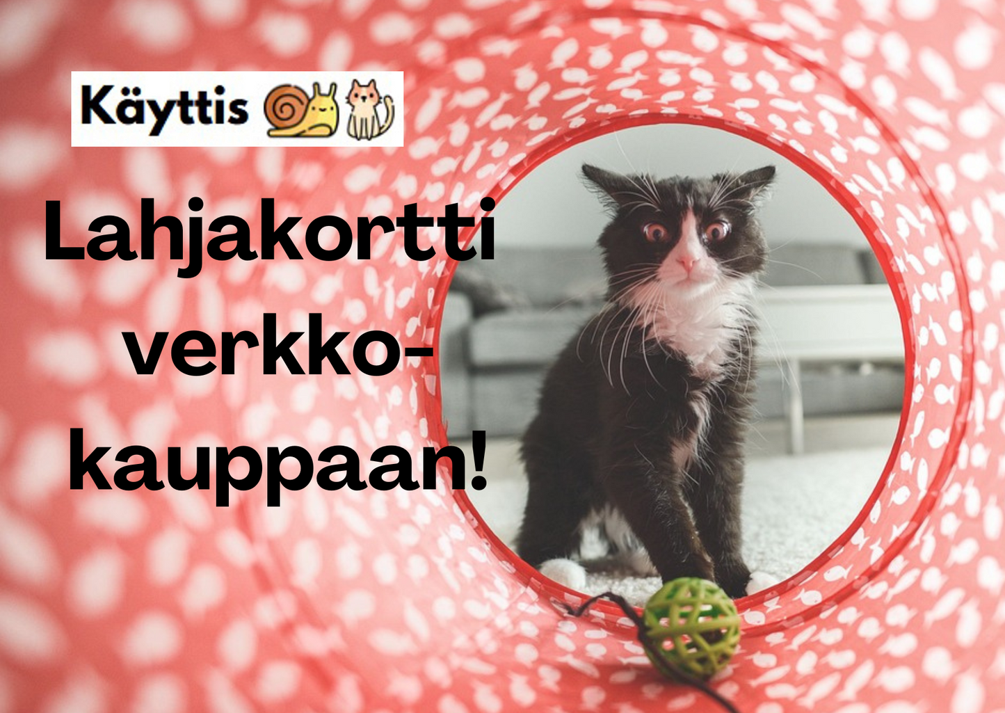 Lahjakortti Käyttiksen verkkokauppaan
