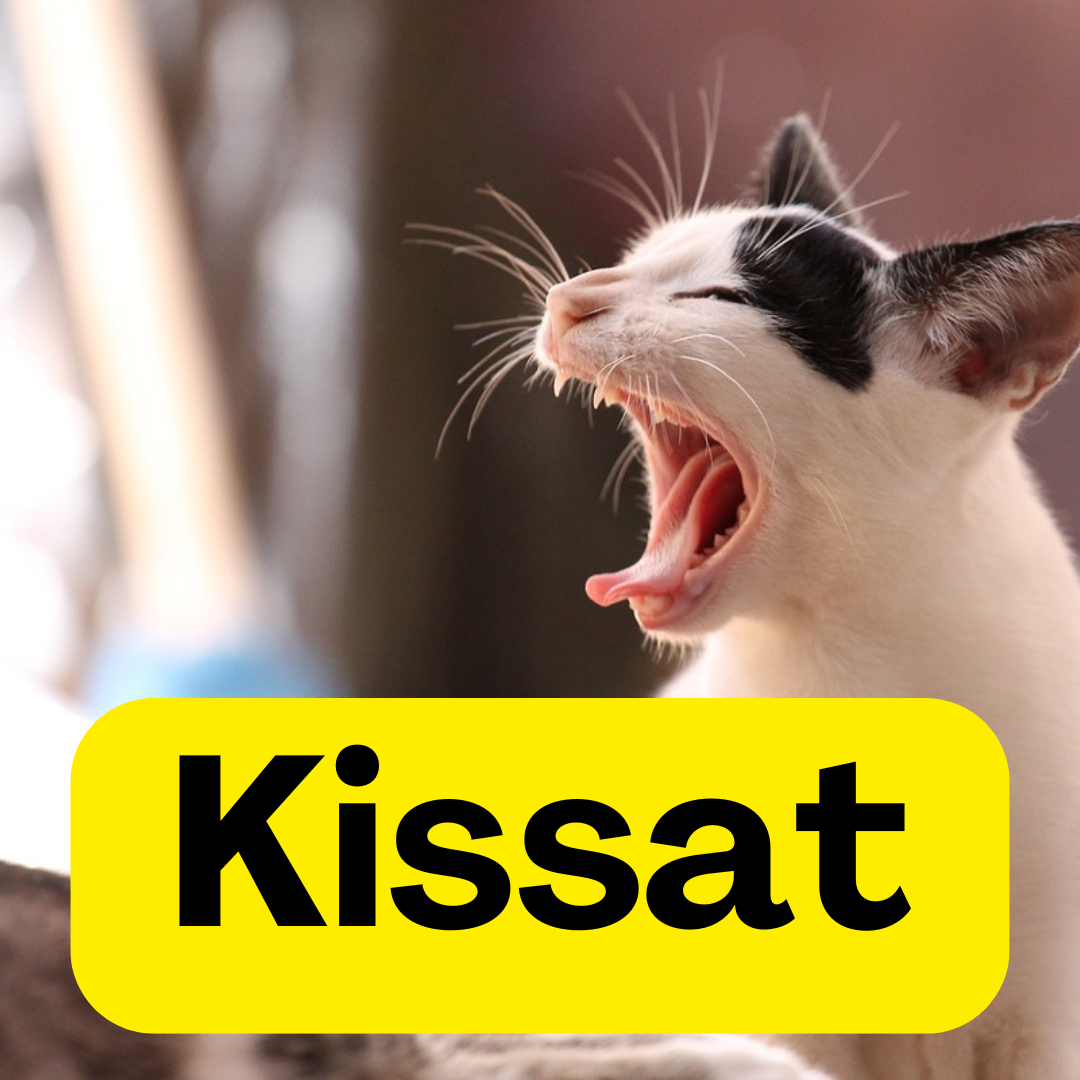 Kissat