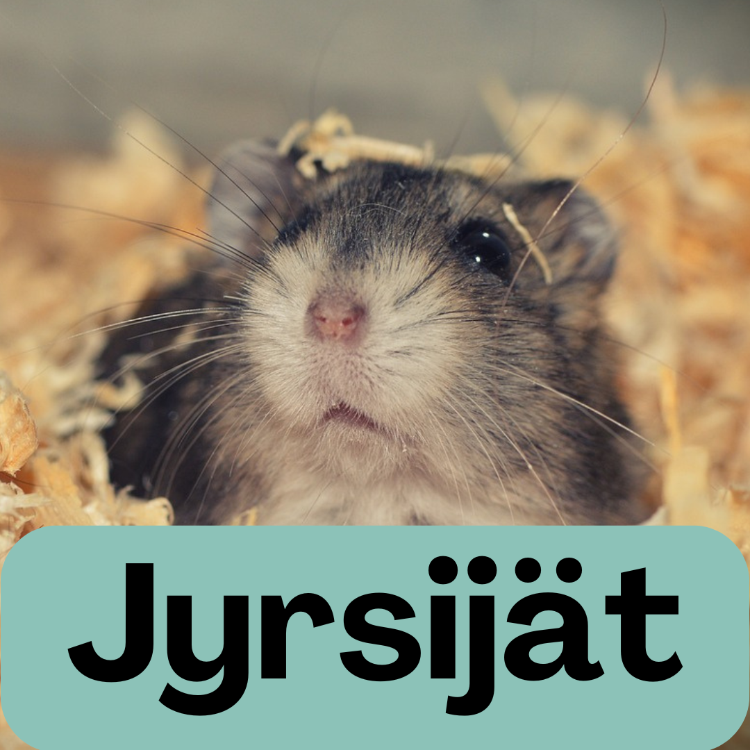 Jyrsijät