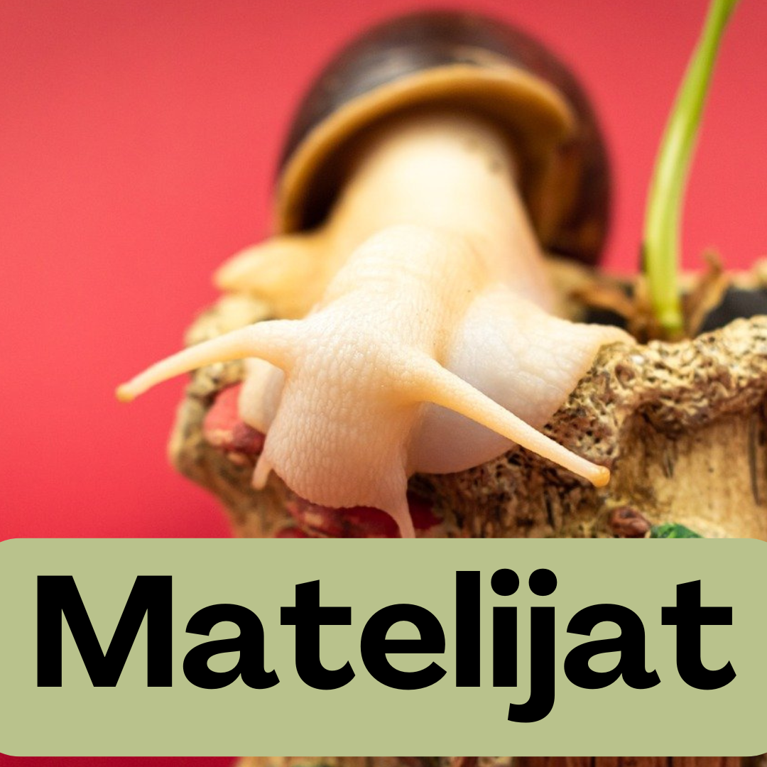 Matelijat