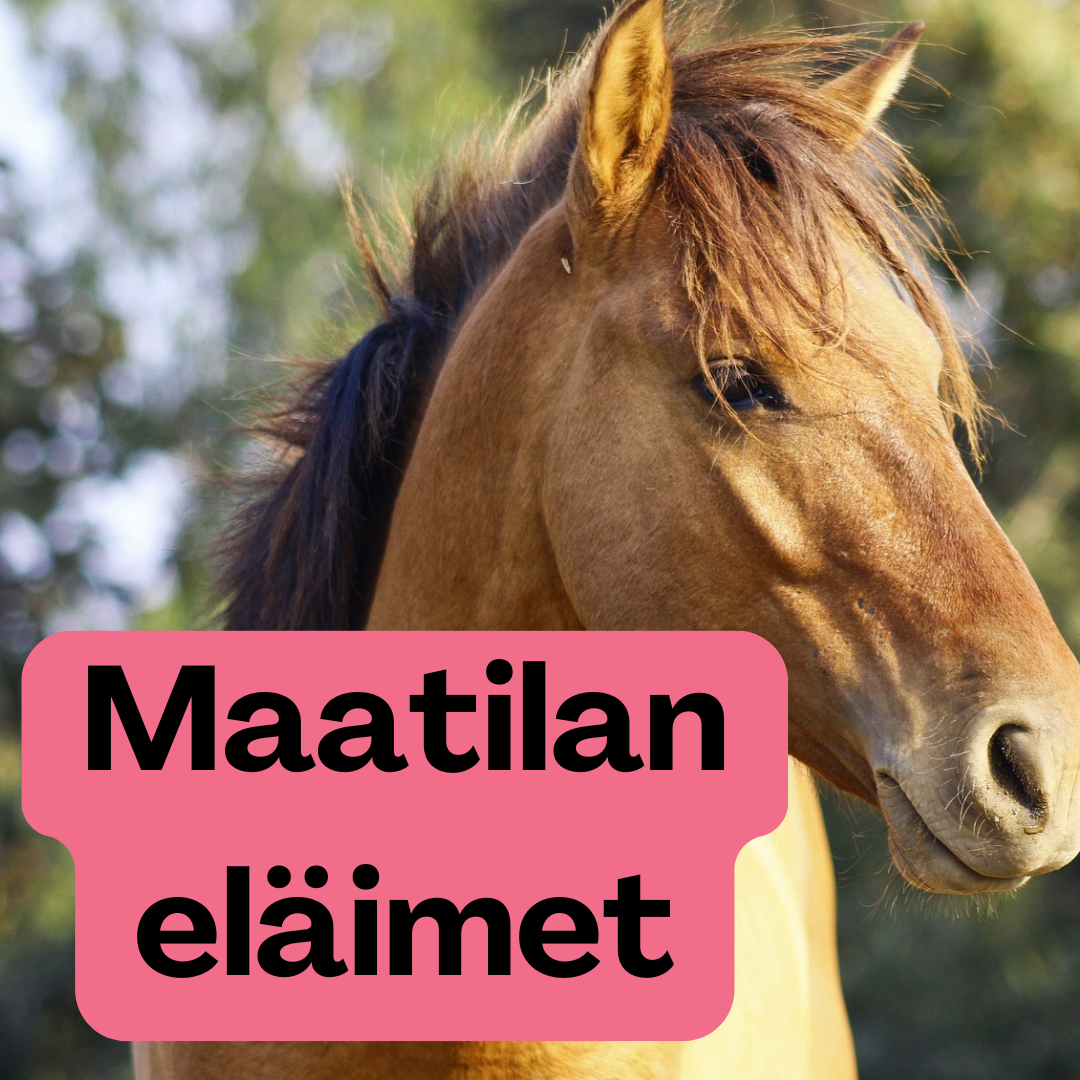 Maatilan eläimet